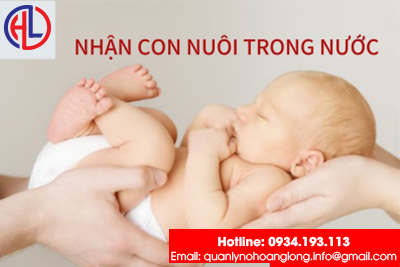 5 điều cần lưu ý khi thực hiện thủ tục cho, nhận con nuôi trong nước