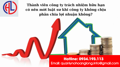 Thành viên công ty trách nhiệm hữu hạn có nên mời luật sư khi công ty không chịu phân chia lợi nhuận không?